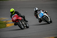 PJ-Motorsport-2019;anglesey-no-limits-trackday;anglesey-photographs;anglesey-trackday-photographs;enduro-digital-images;event-digital-images;eventdigitalimages;no-limits-trackdays;peter-wileman-photography;racing-digital-images;trac-mon;trackday-digital-images;trackday-photos;ty-croes